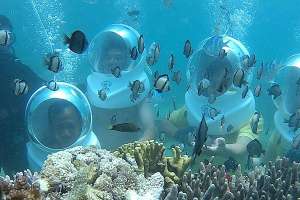 สัมผัสประสบการณ์เดินบนพื้นทะเลและชมปะการังที่ฟูก๊วก